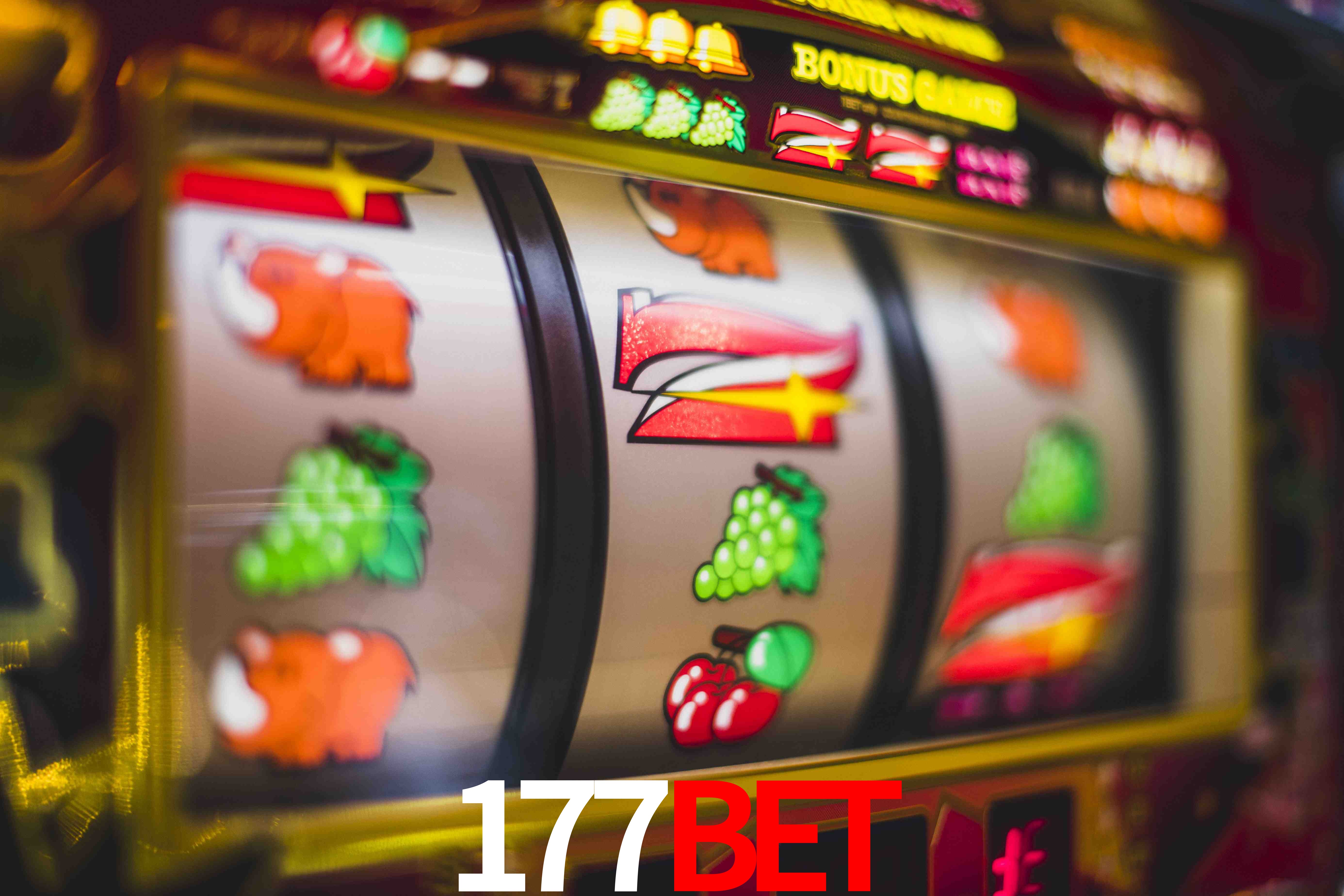 Experiência VIP 177BET