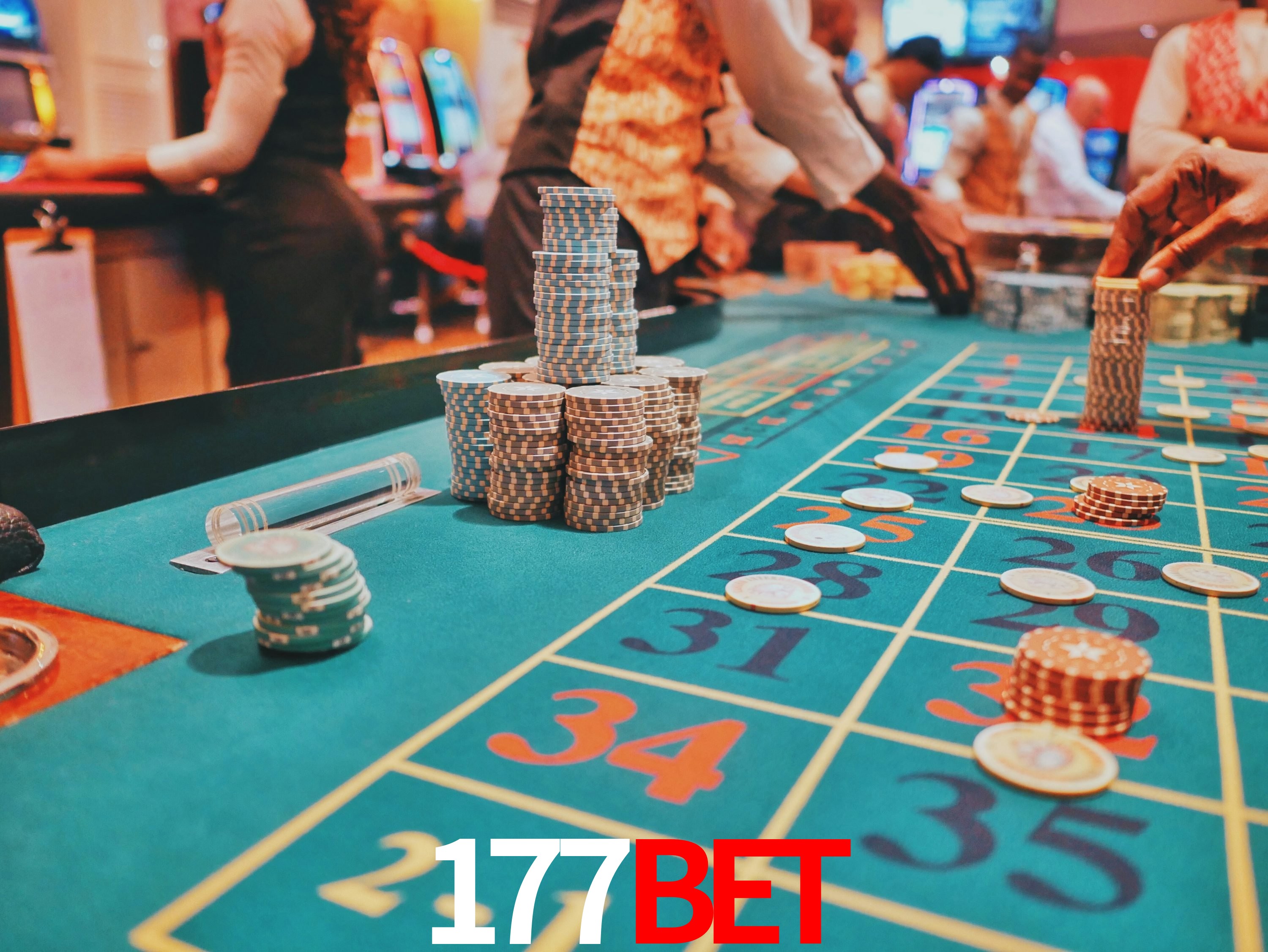 Avaliações dos Jogadores 177BET